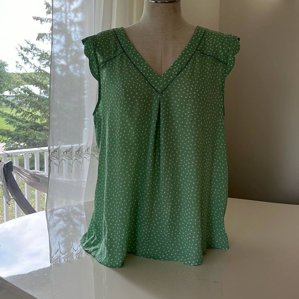 41 Hawthorn blouse size large